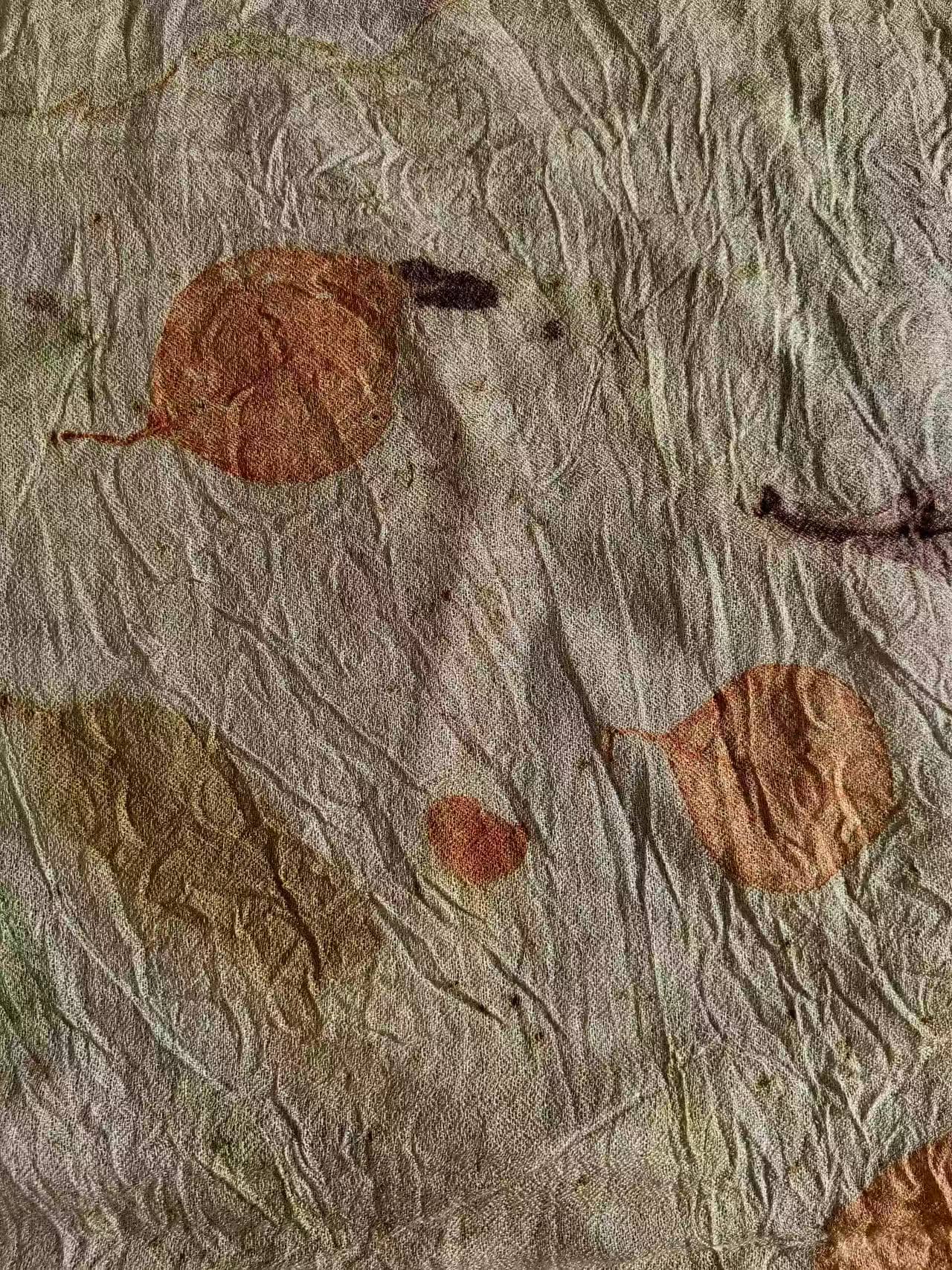 Leaf impressions on a wrinkled pale textile by Echo Yu